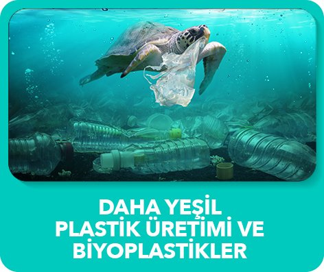 Yeni Plastik Ekonomisi